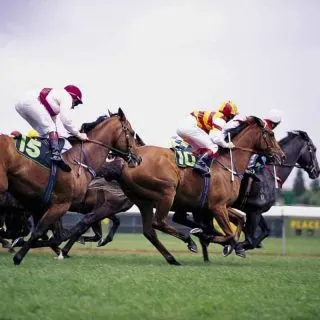 Derby