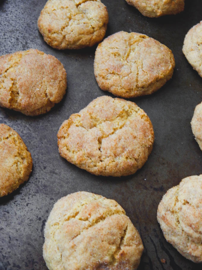 Baked snickerdoodles on cookie sheet