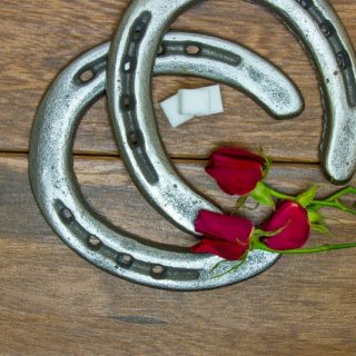 Kentucky Derby red roses with horse shoes and sugar cubes on barn wood background.