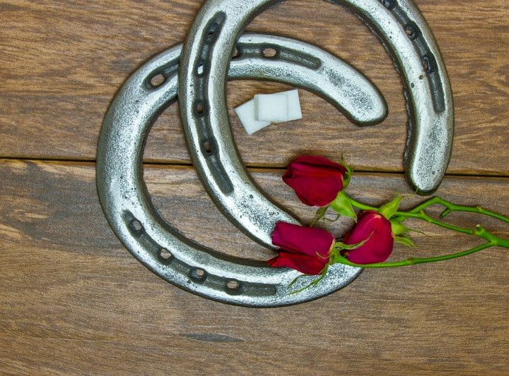 Kentucky Derby red roses with horse shoes and sugar cubes on barn wood background.