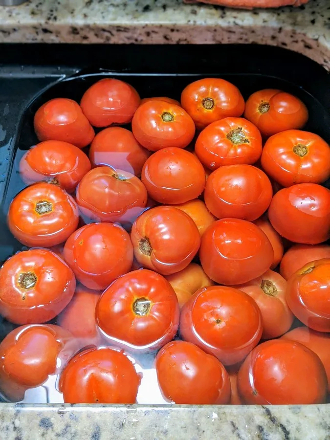 Tomatoes in sink