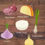 types of onions graphic