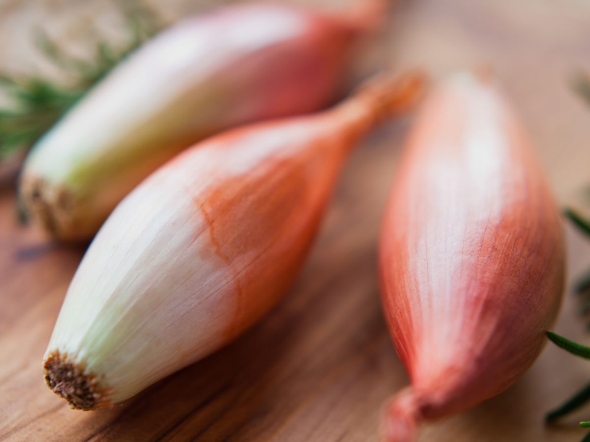 three shallots