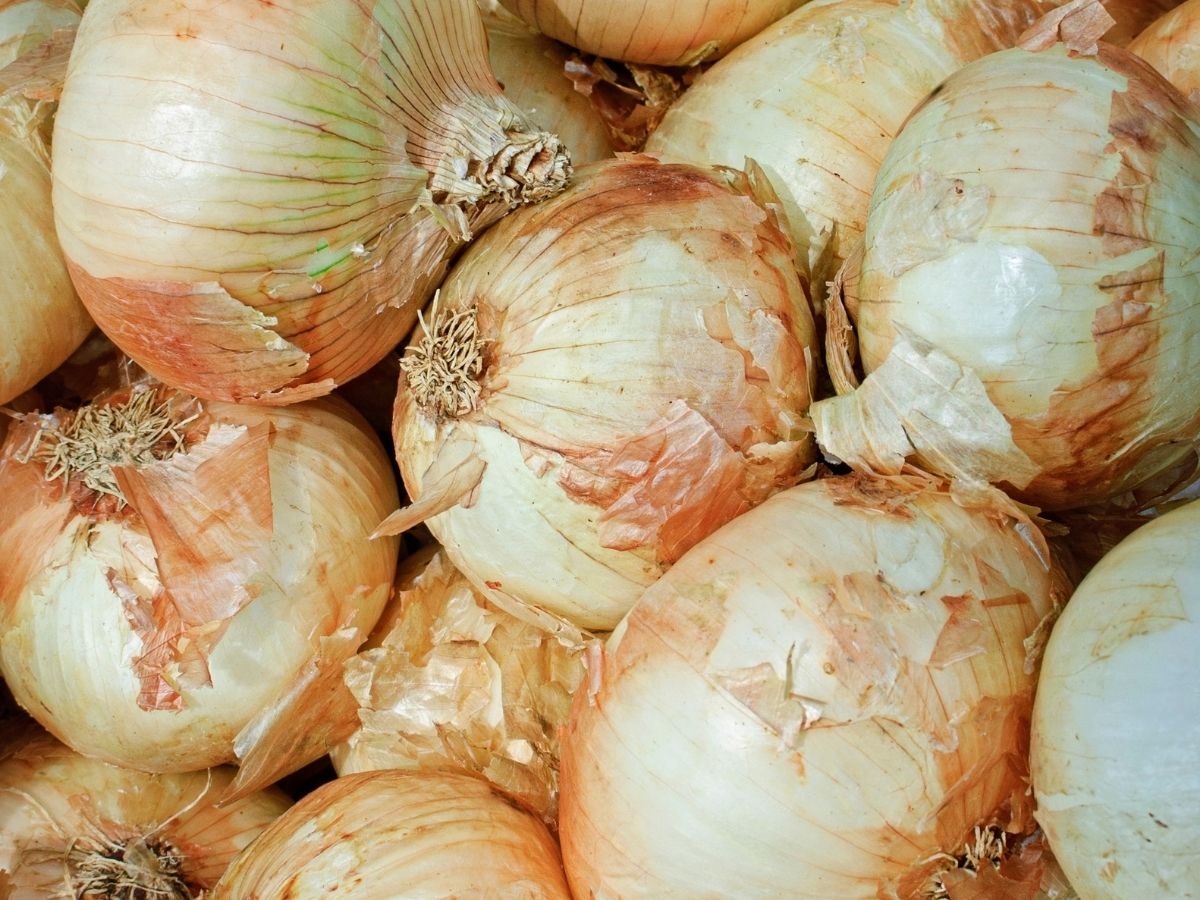 yellow onions