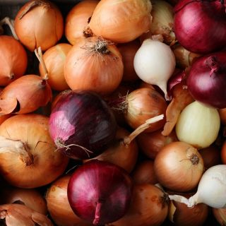 variety of onions