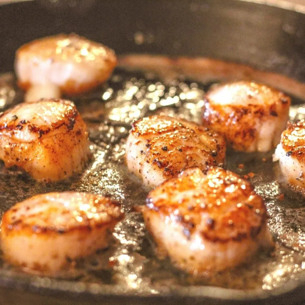 Scallops searing in pan with butter