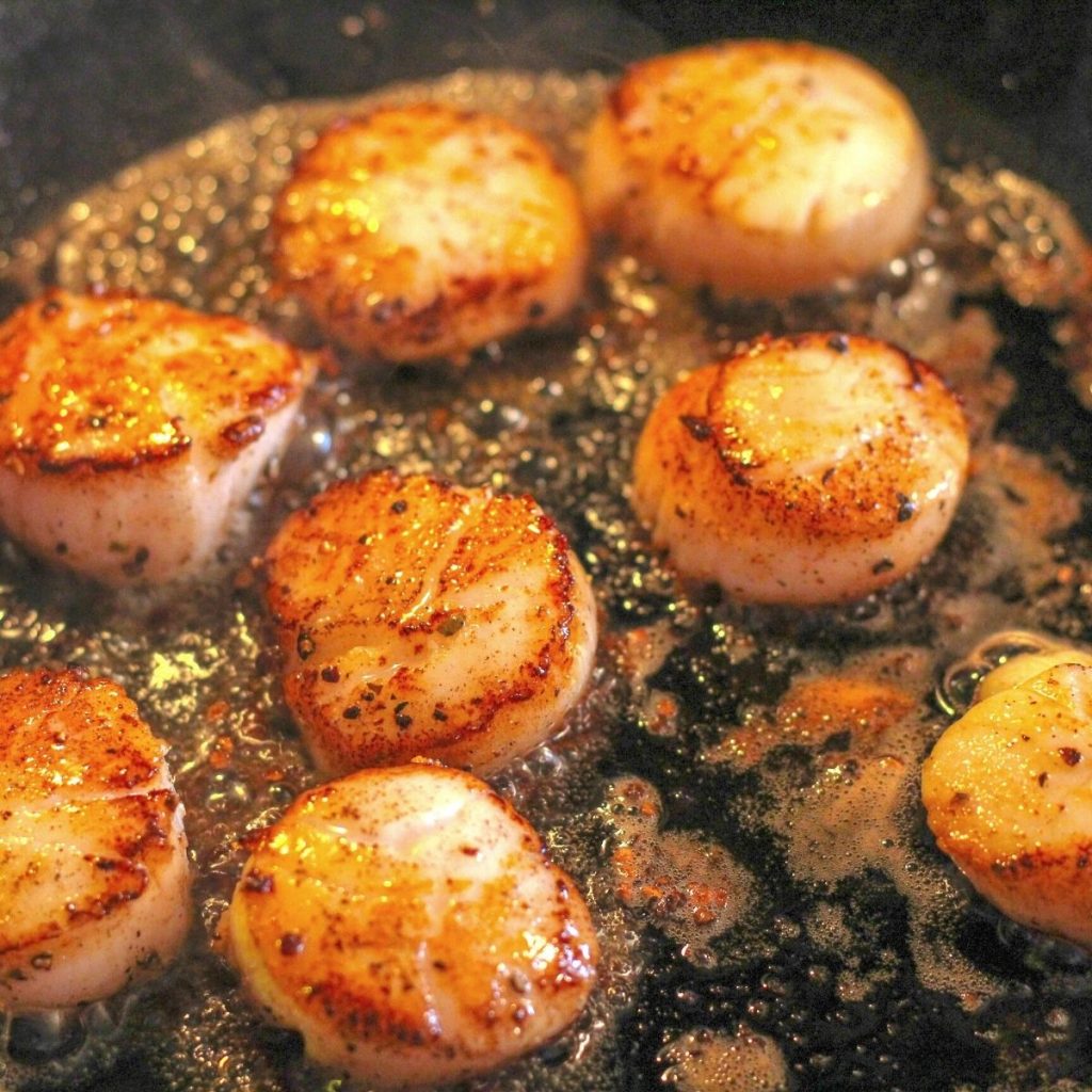 overhead shot of seared scallops 