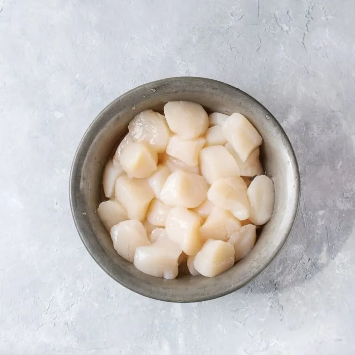 Bowl of raw uncooked scallops