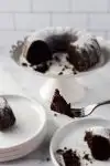 chocolate cake on fork with cake in background