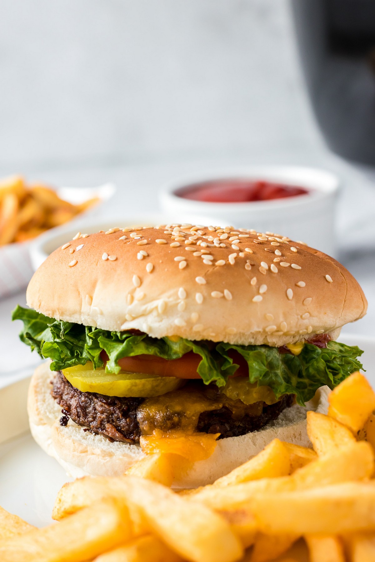 dressed hamburger and french fries