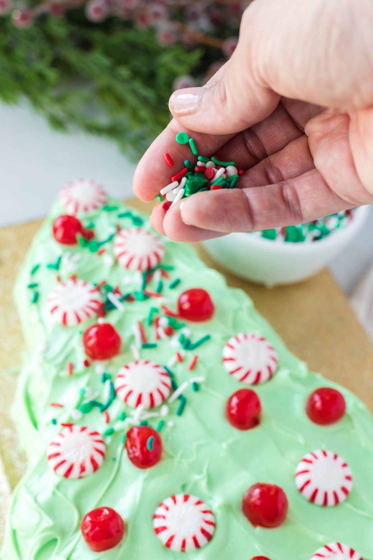 adding sprinkles to christmas tree shaped cake