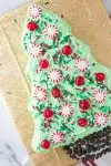 angled photo of christmas tree shaped cake