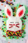 easter bunny shaped cake with green coconut flakes surrounding