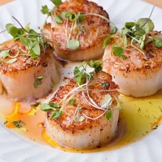 cropped-What-Are-Scallops-1.jpg