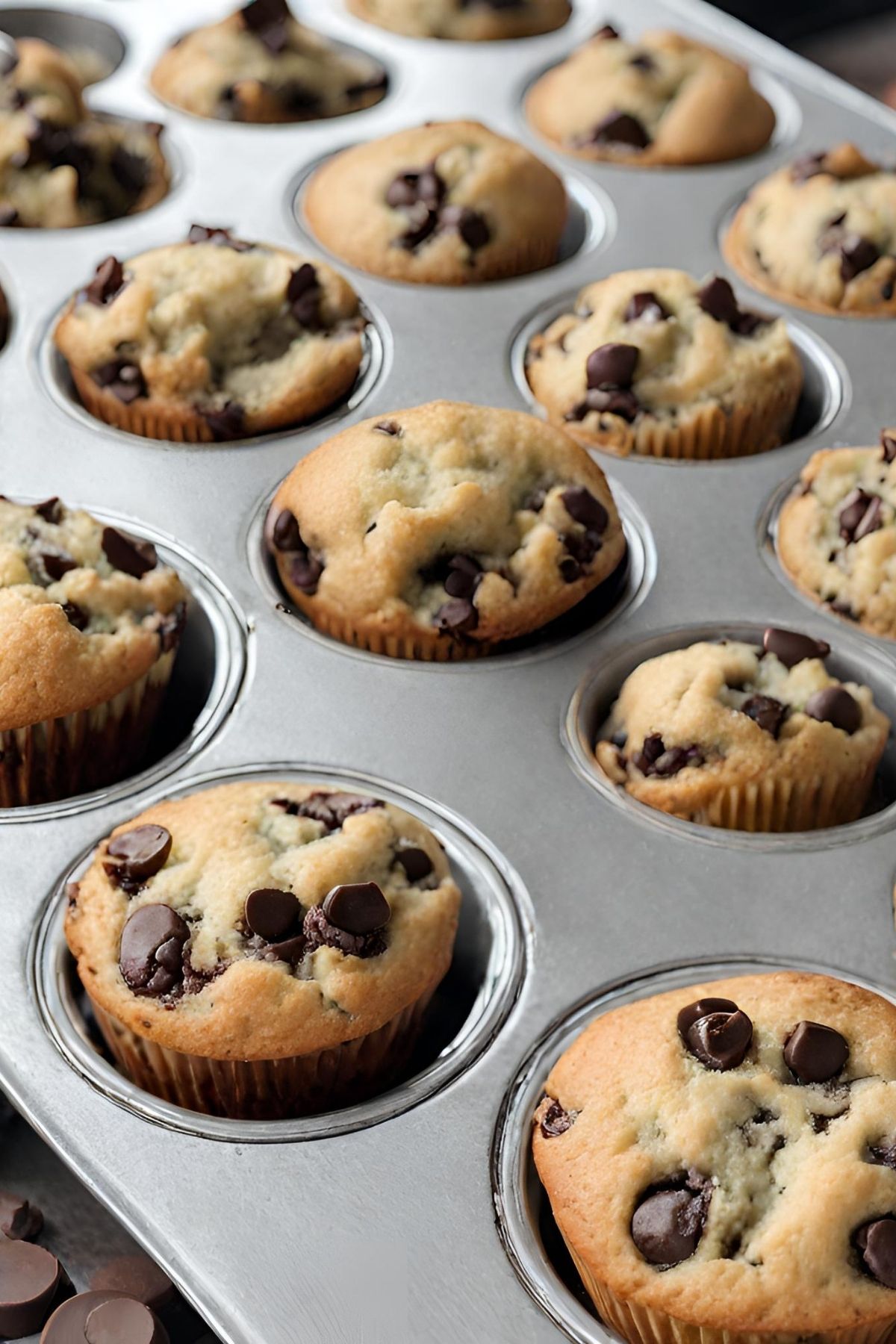 chocolate chip banana muffins in muffin tin