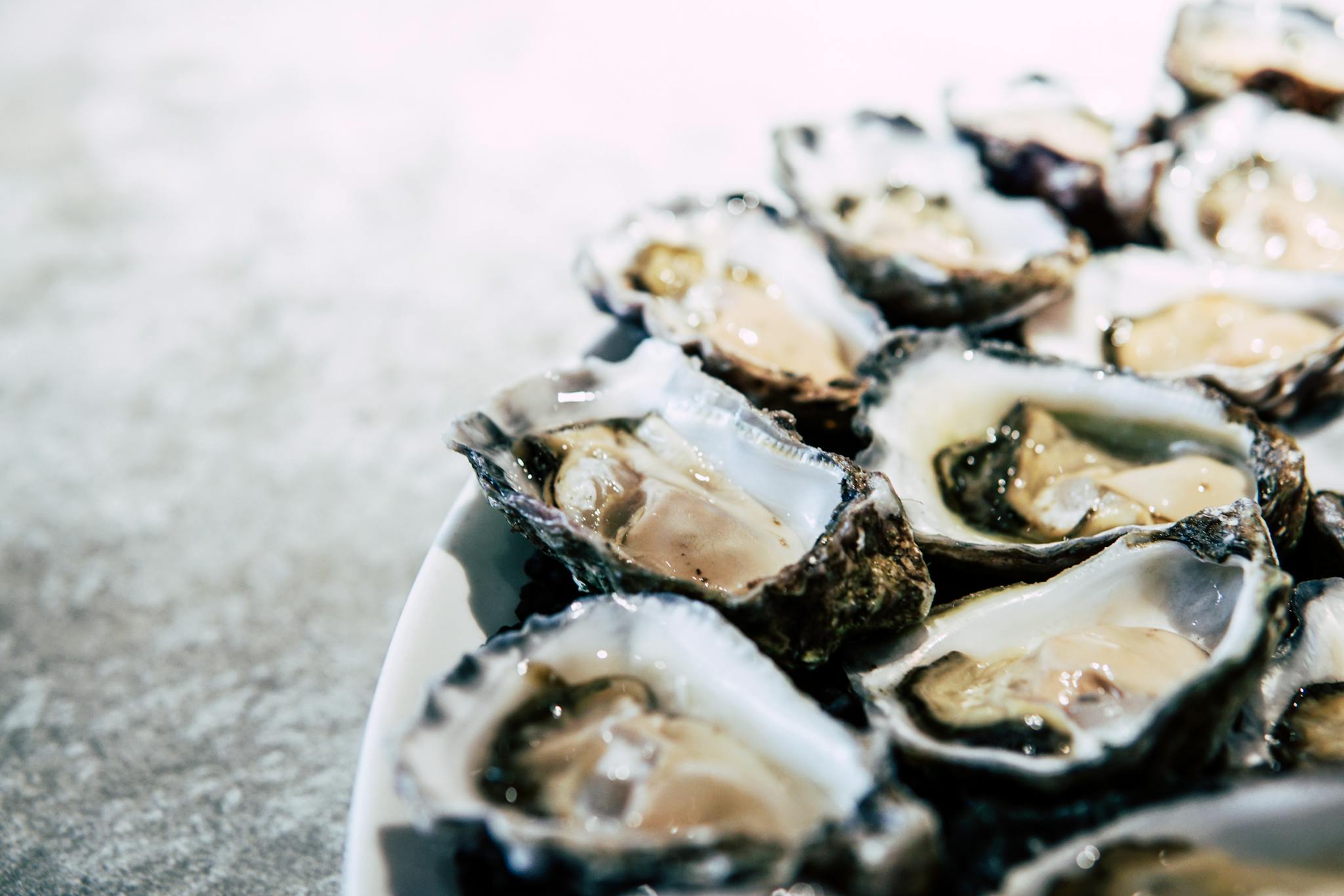 Southern Cravings