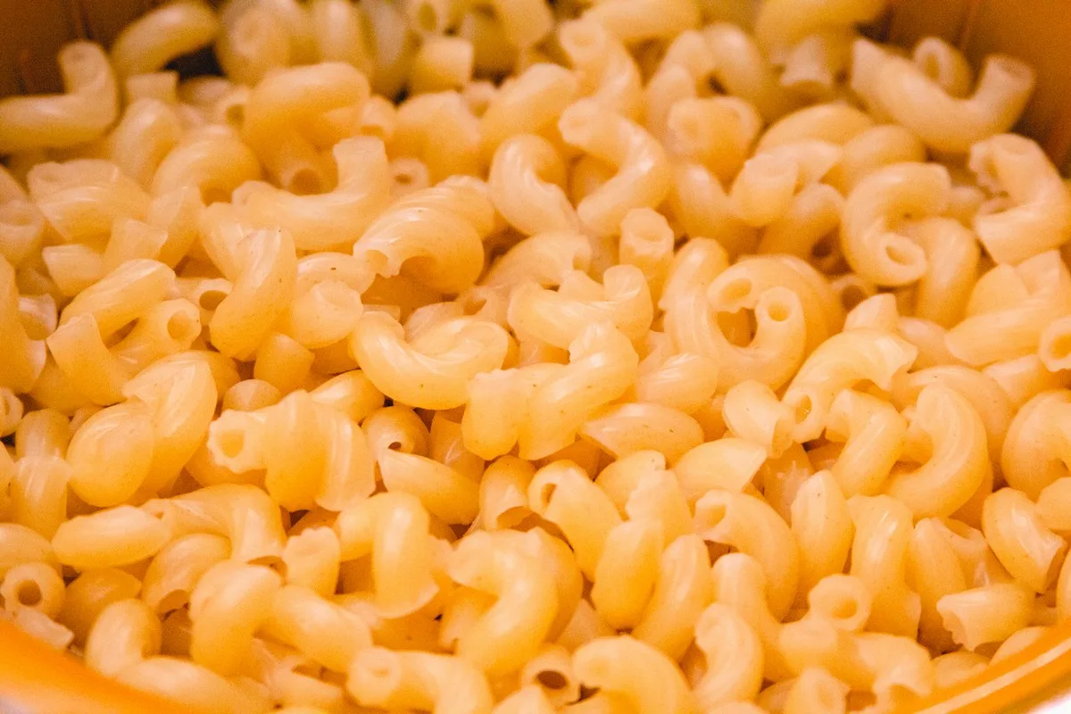 elbow macaroni noodles