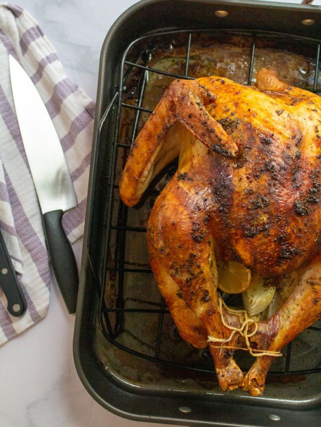 A Guide to Cooking a Thanksgiving Turkey + Recipe Story