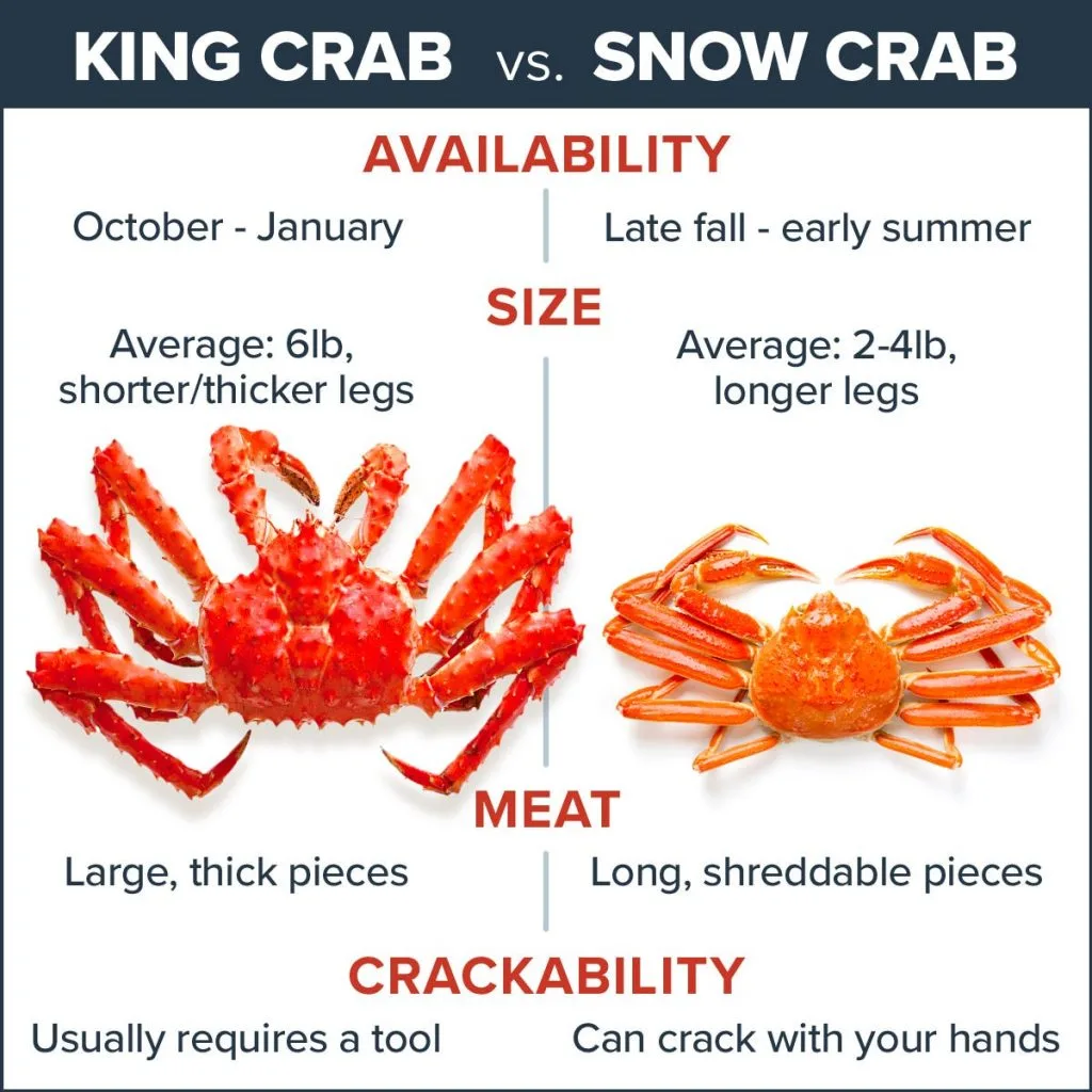 chart with text information on king crab vs. snow crab from Maine Lobster Now